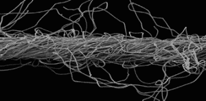 M.W. Watermark - Staple Spun Filter Cloth Fiber; Filter Cloth Selection Process