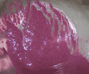 Lees from Merlot Following Fermentation. Source: Wikipedia. Filter Presses and Filter Cloths for Lees Filtration.