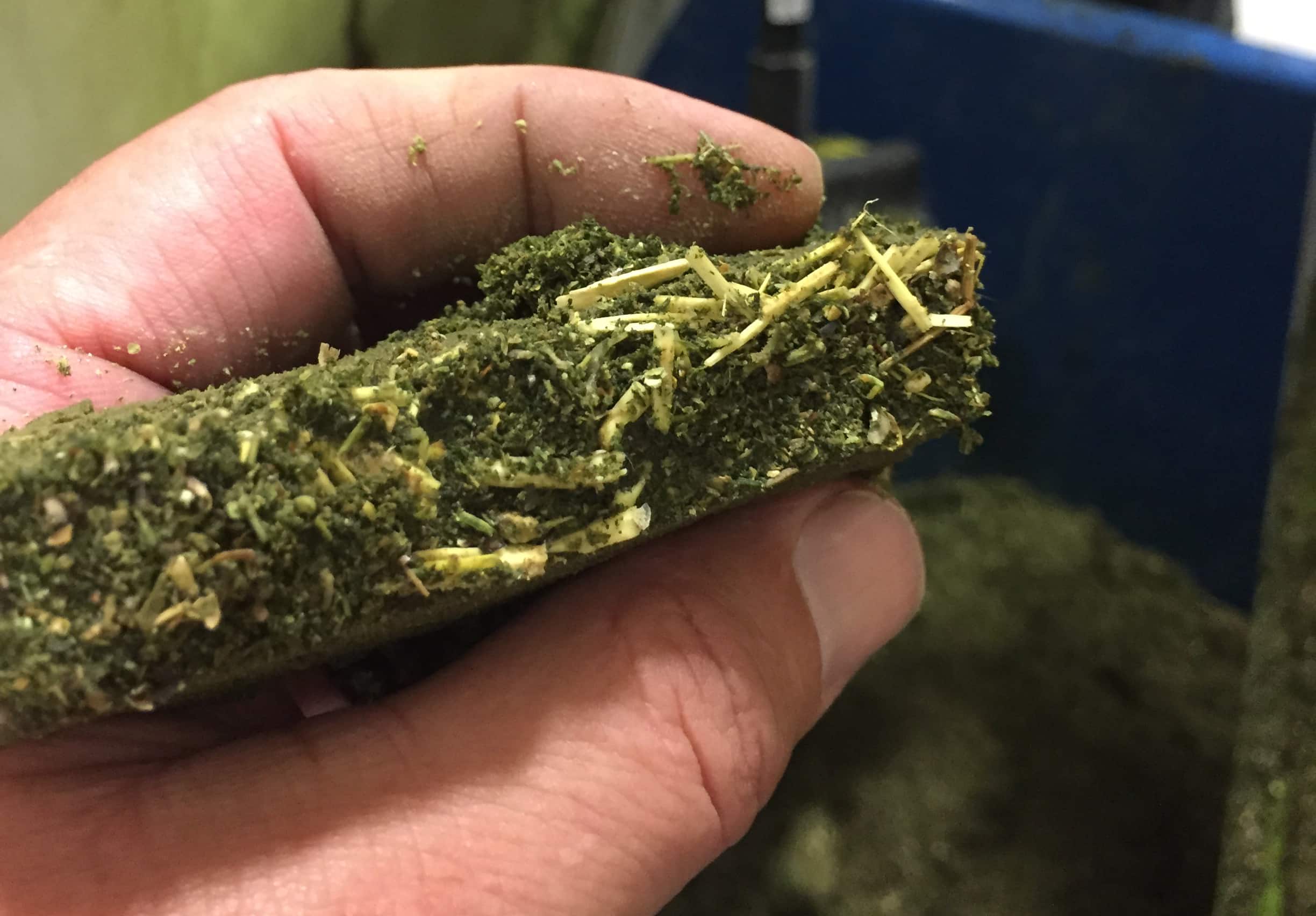 M.W. Watermark CBD Hemp Oil Filter Cake; hemp bio mass filtration method