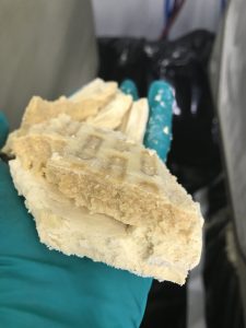 M.W. Watermark CBD Oil Extraction from Hemp. A filter cake containing plant waxes resulting from the winterization process.